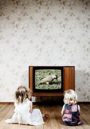 Телевидение оказывает негативное долгосрочное влияние на детей